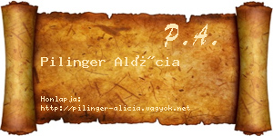 Pilinger Alícia névjegykártya
